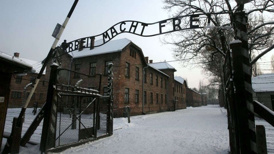 Auschwitz (Array)
