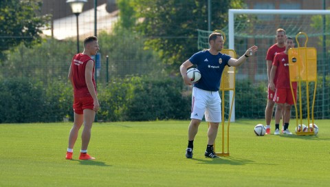 Dárdai Pál (Array)