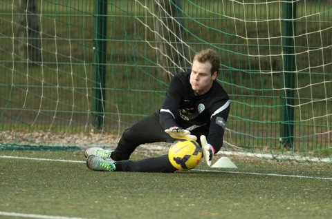 Dibusz Dénes (Array)