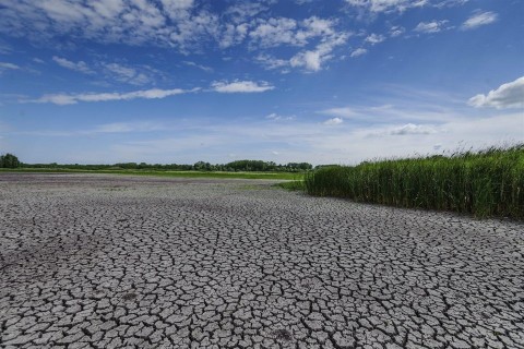 Fancsika-II(960x640).jpg (Array)