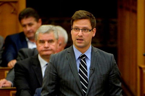 Gulyás Gergely (Array)