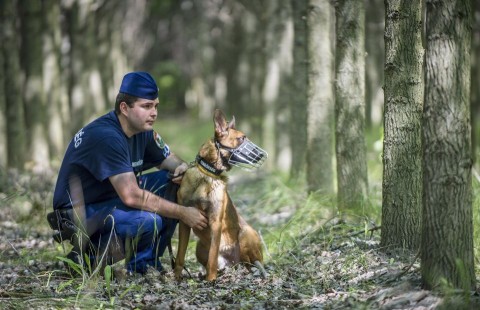 Határőr kutyával (Array)