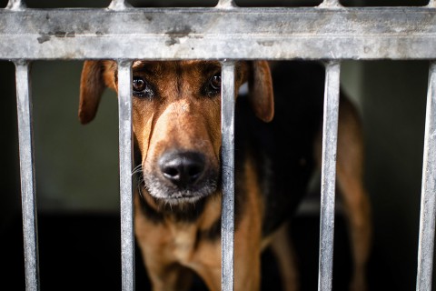 Illatos-ut(5)(430x286).jpg (Array)