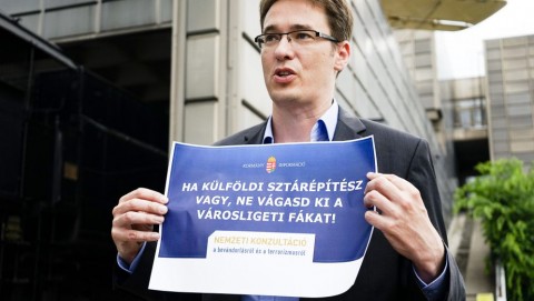 Kárácsony a Ligetben (Array)