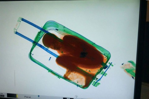 Kisfiu-a-borondben(960x640).jpg (Array)