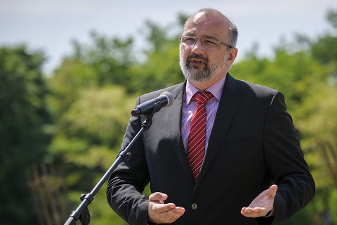 Köpeczi Bócz Tamás (Array)