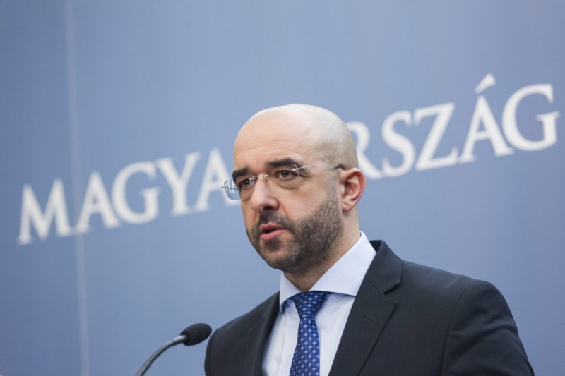 Kovács Zoltán (Array)