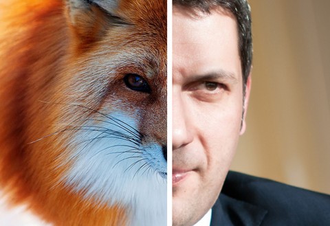 Lázár, róka (Array)