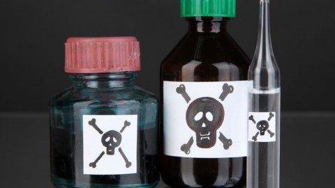 Mereg(210x140).jpg (Array)