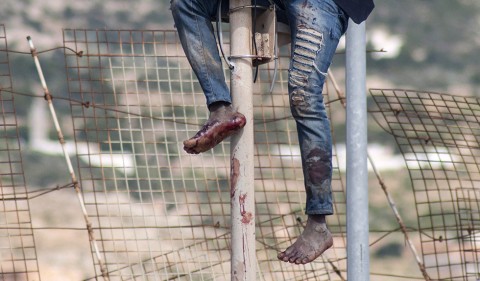 Nincs kerítés, ami, menekült, határzár 11 (Array)