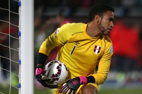 Pedro Gallese (Array)