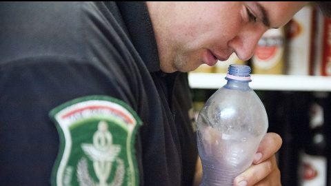 Pénzügyőr (Array)