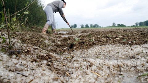 Szatmári jégeső (Array)