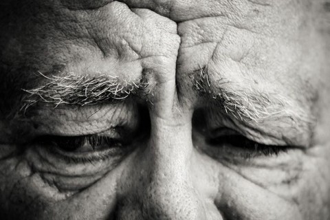 Szeles-Gabor(430x286).jpg (Array)