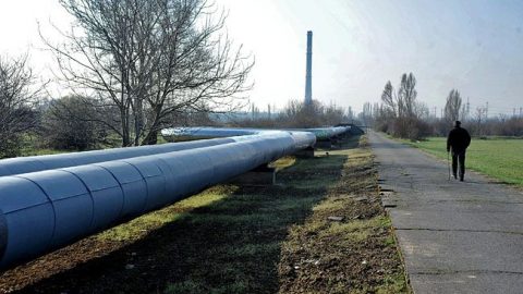 Tavho(210x140).jpg (Array)