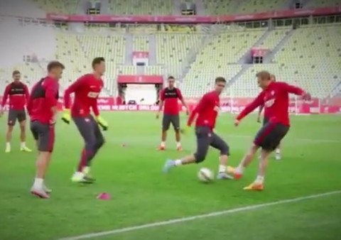 Wojciech Szczesny (Array)