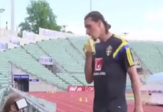 Zlatan Ibrahimovic (Array)