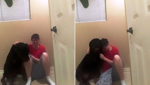 aspergeres roham (Array)