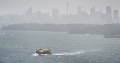 ausztralia(650x433).jpg (Array)