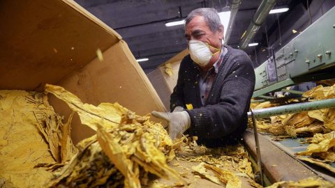 dohanygyar(210x140).jpg (Array)