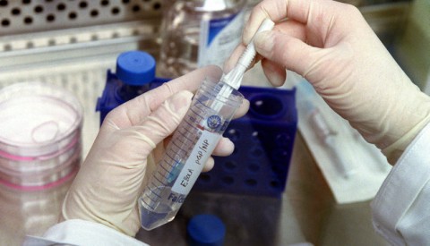 ebolavakcina (Array)