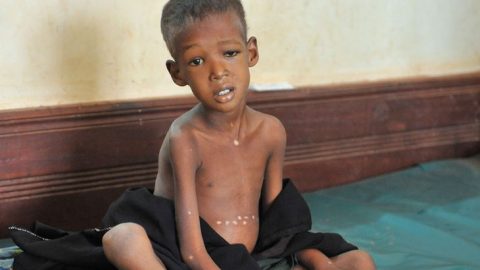 ehezes(210x140).jpg (Array)