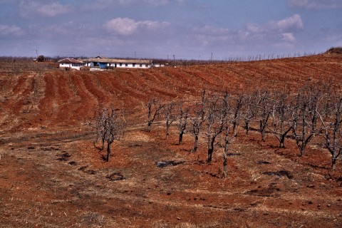 észak-korea szárazság (Array)