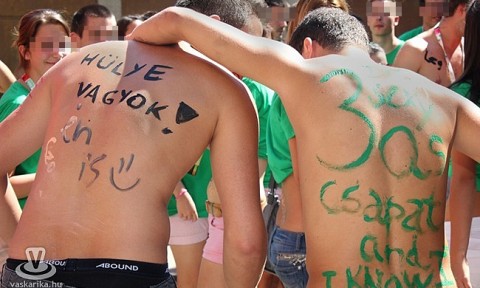 gólyatábor (Array)