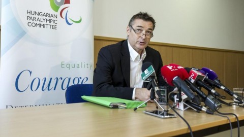 gömöri zsolt (Array)