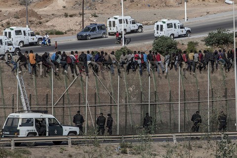 határ menekült (Array)