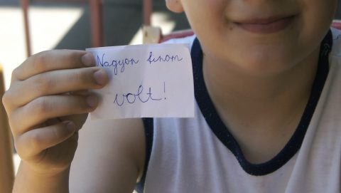 heti betevő-1 (Array)