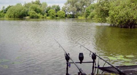 horgaszto(210x140).jpg (Array)