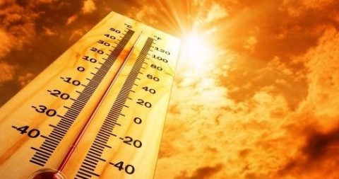 hoseg(960x640).jpg (Array)