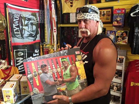 hulk hogan (Array)