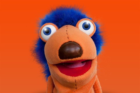 jofogas(960x640).jpg (Array)