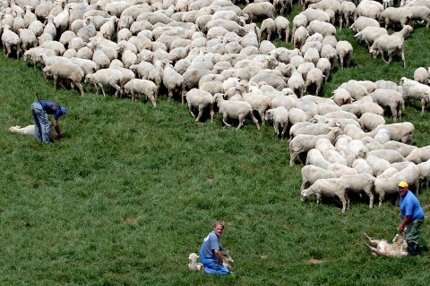 juh-nyaj-legelo(210x140).jpg (Array)