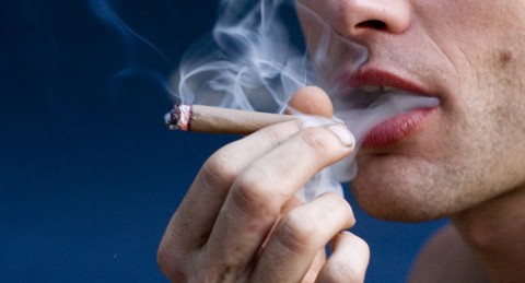 kannabisz, drog, fű, cannabis (Array)