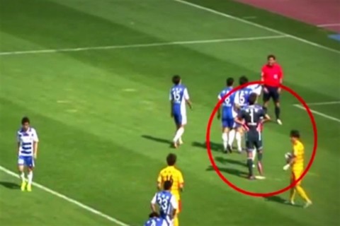 kapus(960x640).jpg (Array)