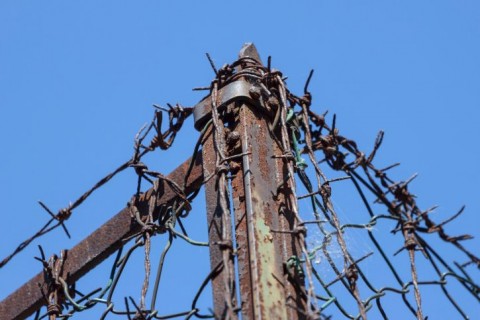 kerites(210x140).jpg (Array)