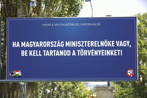 kétfarkú kutya plakát (Array)