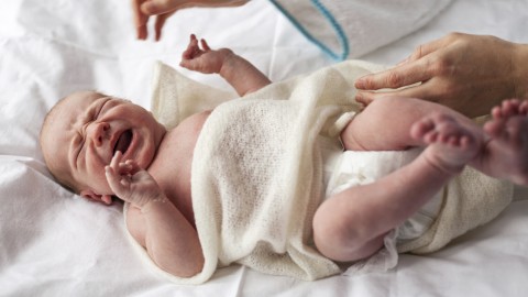 kisbaba(960x640).jpg (Array)