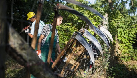 kozmunka(210x140).jpg (Array)