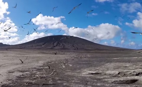 lakatlan sziget tonga (Array)