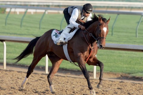 loverseny(210x140)(1).jpg (Array)