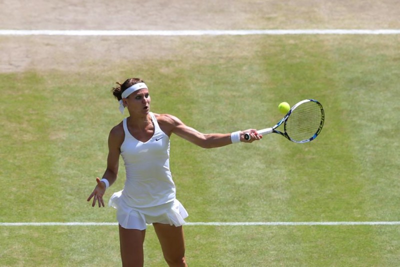 lucie safarova (Array)