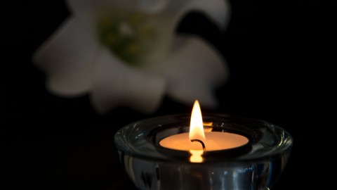 mecses-gyasz(430x286).jpg (Array)