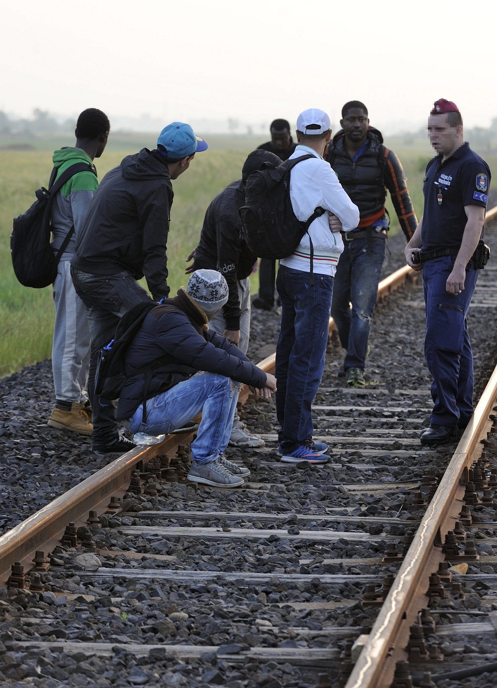 menekult(430x286).jpg (Array)