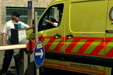 mento(960x640).jpg (Array)