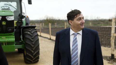 meszaros(210x140).jpg (Array)