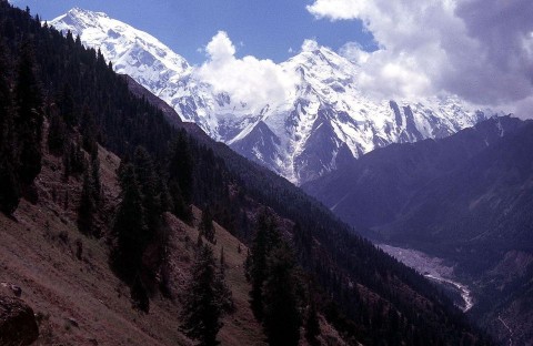 nanga parbat (Array)